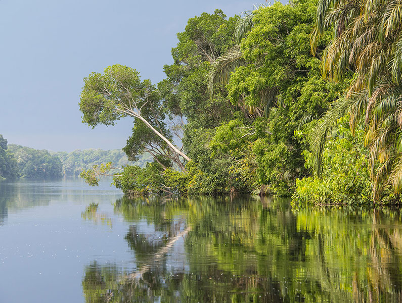 australia-illegal-logging-prohibition-act-timber-trade-portal